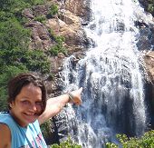 Forest Cruise Waterfall Forest Cruise Waterfall